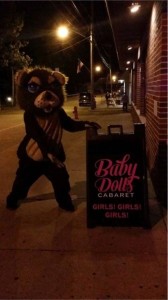 Baby Dolls NY Bear